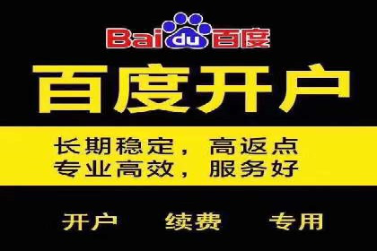 专业SEM托管：成功提升广告效果的案例分析